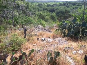 Geologic Assessment, Hicks & Company