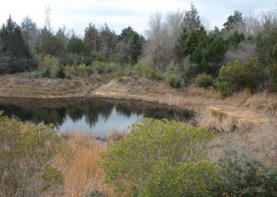 Jewett Mine Houston Toad Survey