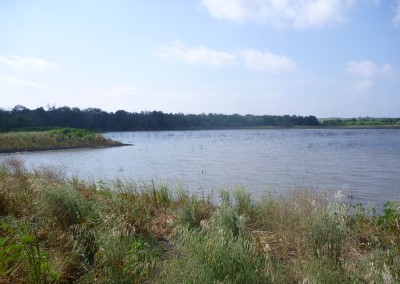 Plum Creek Mitigation Plan