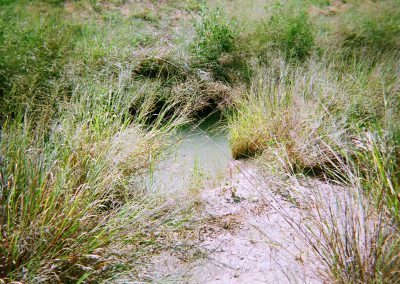 East Mountain Creek Interceptor