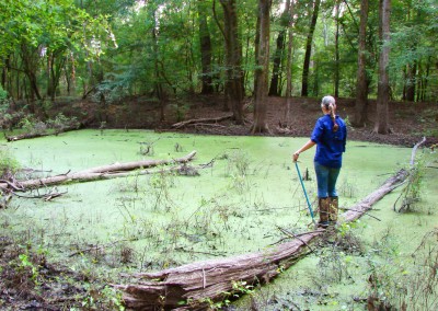 Marshall Biological Survey