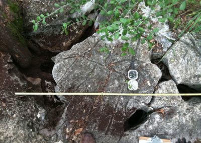 Gruene Road New Braunfels Geologic Assessment