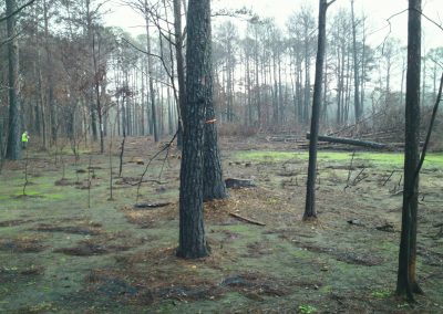 Bastrop State Park